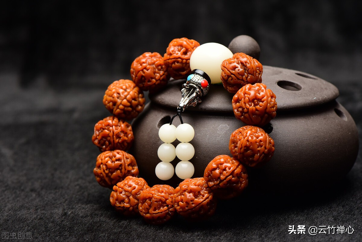 金刚菩提四瓣好还是五瓣好（金刚菩提几瓣的最好）