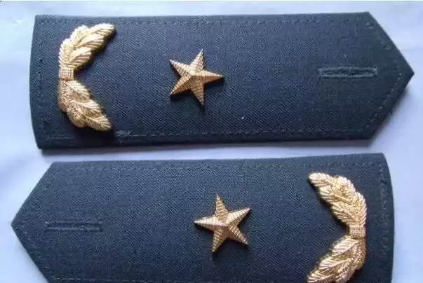 少将(少将军官的级别究竟有多高？)