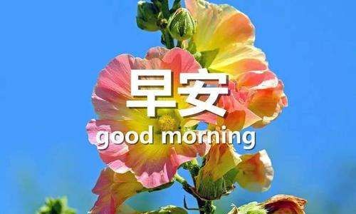 早上好真诚问候语,早上问候语有哪些英语图1