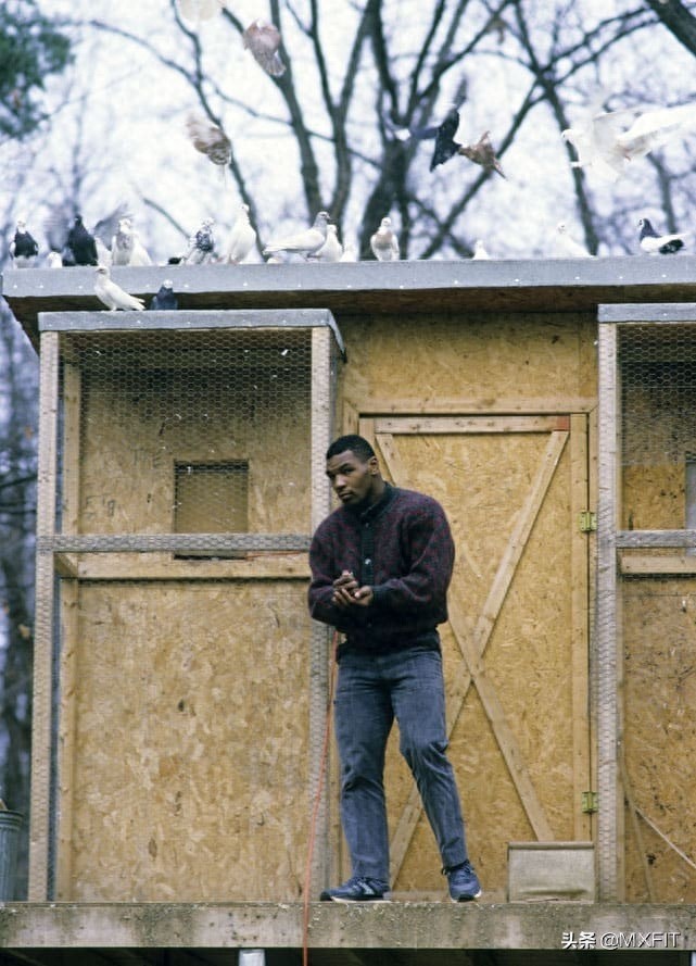 拳王泰森罕见的32张图，回顾拳王的传奇一生