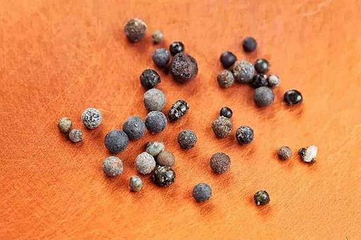 从科学角度讲,舍利子是什么物质