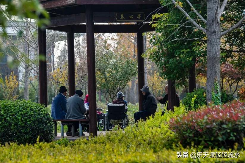 别随便把父母接到身边的原因 作为农村人不敢苟同