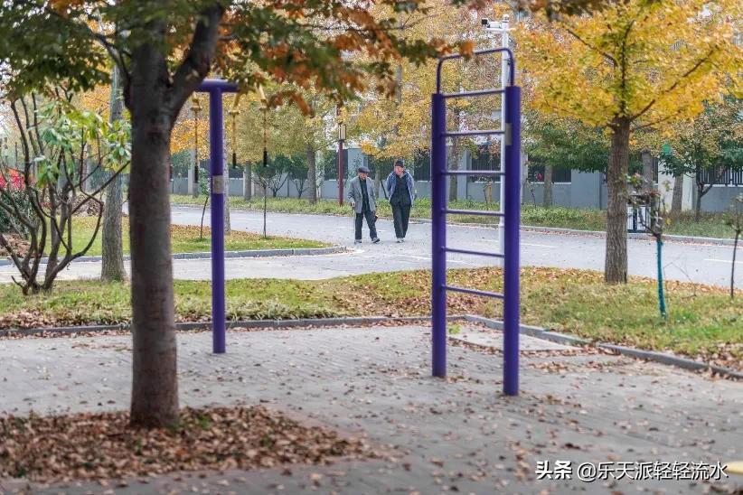 别随便把父母接到身边的原因 作为农村人不敢苟同