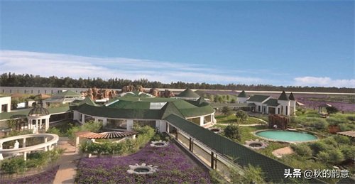 北京蓝调薰衣草庄园，蓝莓、草莓为主栽品种，已成为当地绿色地标