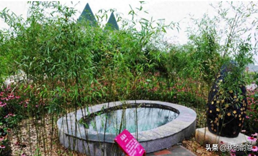 北京蓝调薰衣草庄园，蓝莓、草莓为主栽品种，已成为当地绿色地标