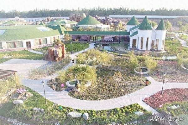 北京蓝调薰衣草庄园，蓝莓、草莓为主栽品种，已成为当地绿色地标