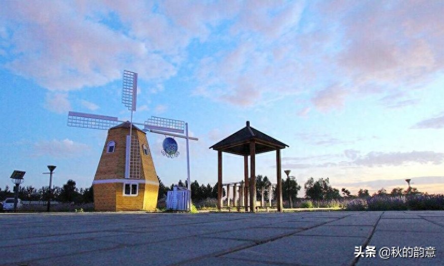 北京蓝调薰衣草庄园，蓝莓、草莓为主栽品种，已成为当地绿色地标