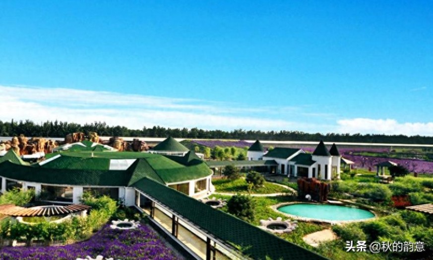 北京蓝调薰衣草庄园，蓝莓、草莓为主栽品种，已成为当地绿色地标