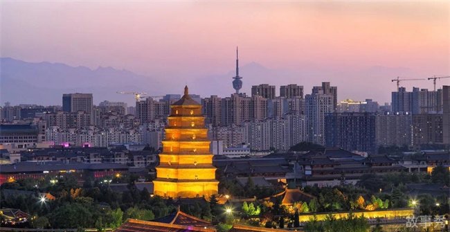 网络图片(侵删)