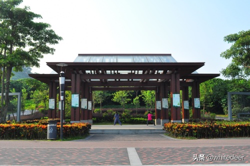 随拍公园 - 环湖游走 深圳立新湖公园