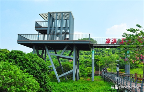 随拍公园 - 环湖游走 深圳立新湖公园