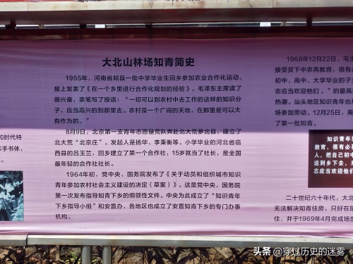 大北山森林公园(大北山革命历史纪念馆和知青楼)