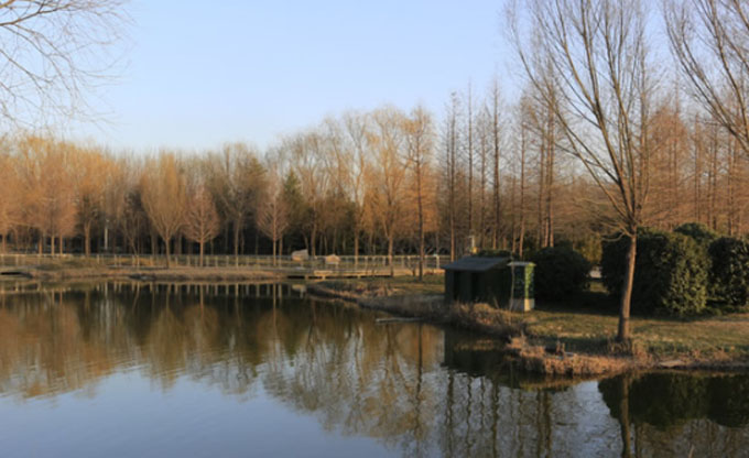 郑州有哪些免费的景点（郑州十大网红景点免费）