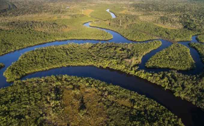 世界上的热带雨林有哪些地方（世界十大热带雨林排名）