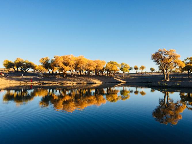 一、额济纳胡杨林