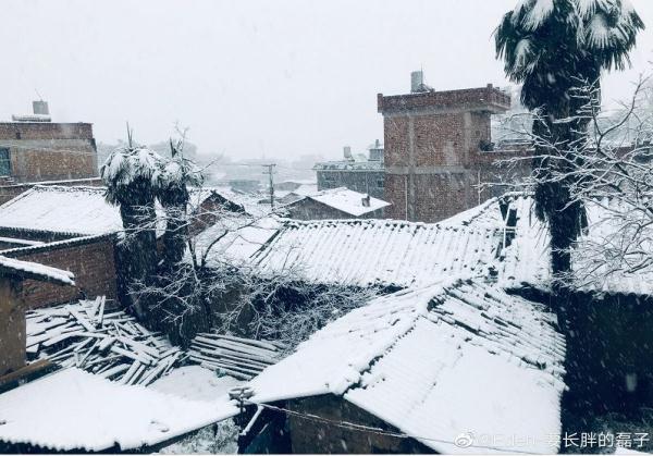昆明市今天哪些地方下雪了(瑞雪兆丰年大年初一)(10)
