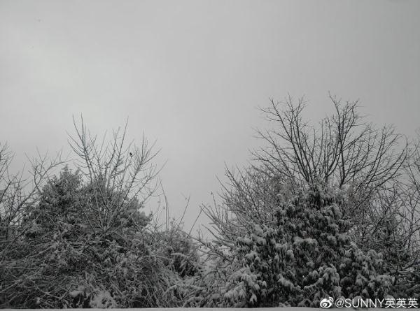 昆明市今天哪些地方下雪了(瑞雪兆丰年大年初一)(4)
