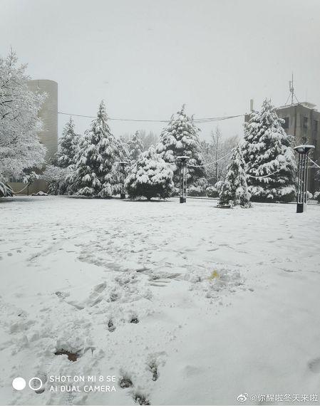 昆明市今天哪些地方下雪了(瑞雪兆丰年大年初一)(7)