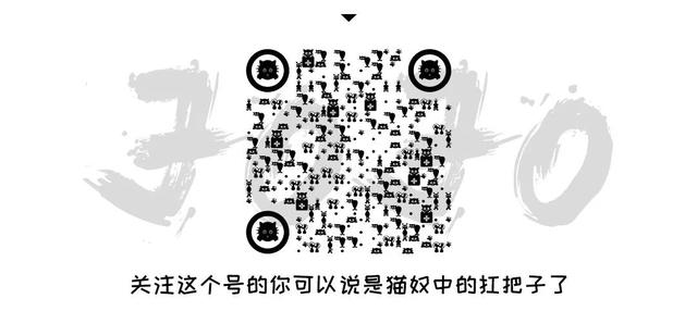 猫鼻支怎么自己治疗(猫鼻支怎么治8个要点教会你)(12)