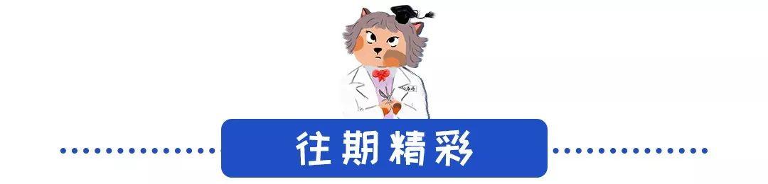 猫鼻支怎么自己治疗(猫鼻支怎么治8个要点教会你)(11)
