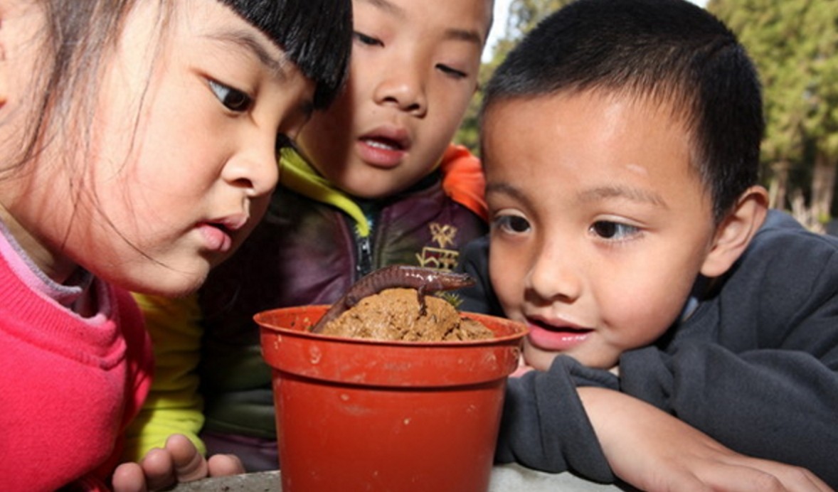 校长抓回一条“阿里山山椒鱼”，前肢有4指，后肢有5趾