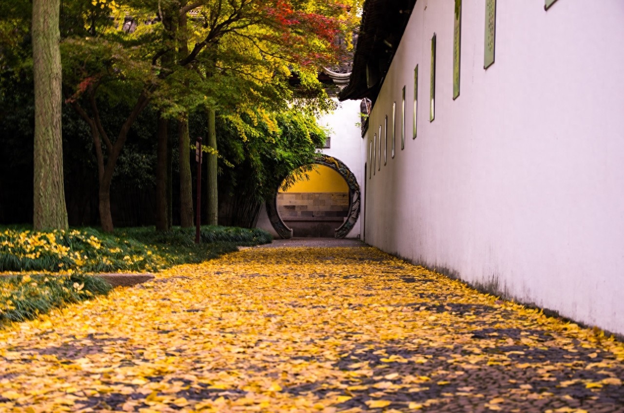 苏州西园寺位于苏州阊门外虎丘路西园，现存建筑为清代重建