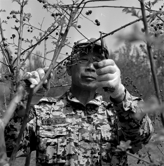 黑的白的红的黄的，紫的绿的蓝的灰的，都是你的我的他的她的