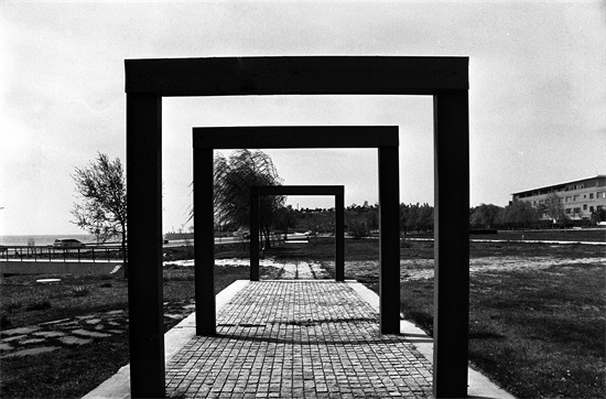 黑的白的红的黄的，紫的绿的蓝的灰的，都是你的我的他的她的