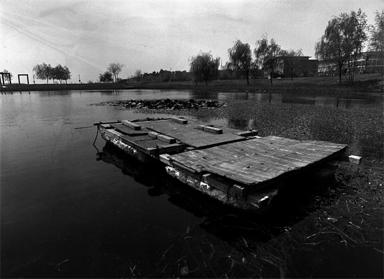 黑的白的红的黄的，紫的绿的蓝的灰的，都是你的我的他的她的