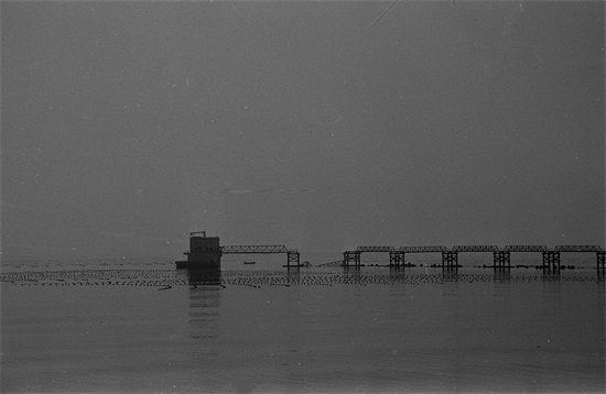 黑的白的红的黄的，紫的绿的蓝的灰的，都是你的我的他的她的