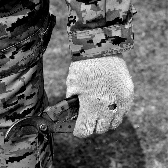 黑的白的红的黄的，紫的绿的蓝的灰的，都是你的我的他的她的