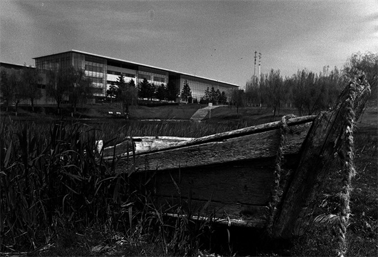 黑的白的红的黄的，紫的绿的蓝的灰的，都是你的我的他的她的