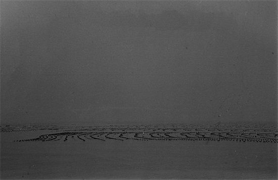 黑的白的红的黄的，紫的绿的蓝的灰的，都是你的我的他的她的