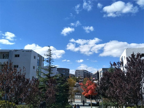 黑的白的红的黄的，紫的绿的蓝的灰的，都是你的我的他的她的