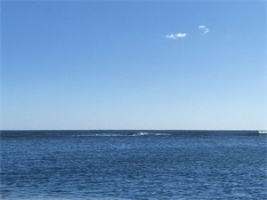 黑的白的红的黄的，紫的绿的蓝的灰的，都是你的我的他的她的