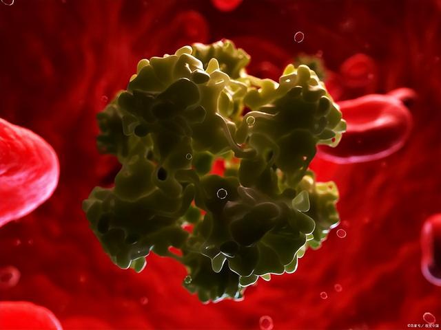 hpv感染的途径有哪些你知道几个(通过什么途径传播)(4)