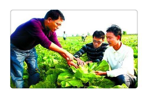 从“打工潮”到“返乡潮”,返乡人员可以经营哪些项目?推荐几个