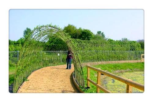 从“打工潮”到“返乡潮”,返乡人员可以经营哪些项目?推荐几个