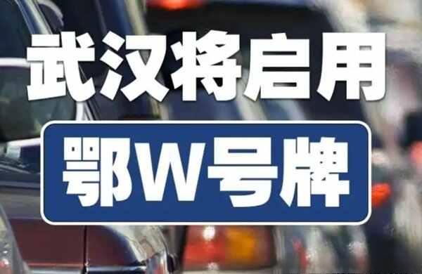 鄂w是湖北哪个城市?鄂w是什么地方的车牌号-