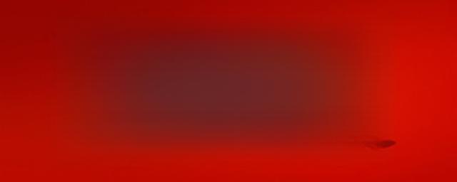 自动泊车系统什么意思-