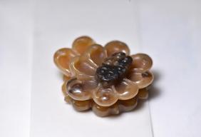 和田玉的分类及特征（14种和田玉的基本分类大全）(20)