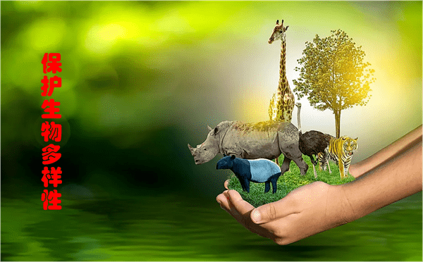 生物多样性的重要性(为什么生物多样性很重要)