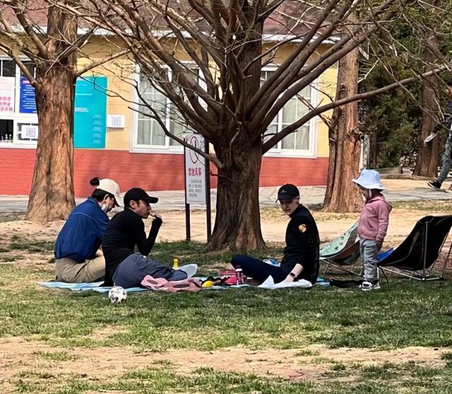 撒贝宁龙凤胎首次出镜(撒贝宁带龙凤胎逛集市被拍)(8)