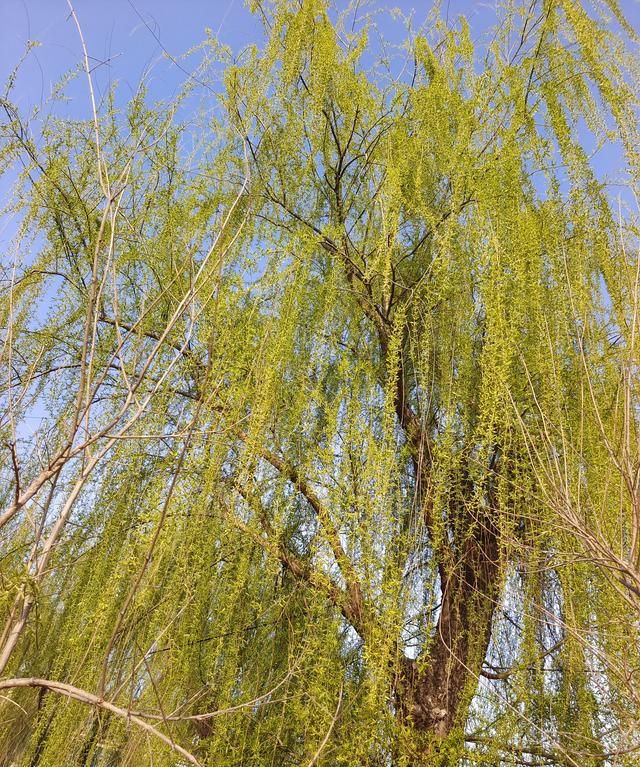 拓荒牛所代表的精神是什么,拓荒牛精神什么时候提出的?图3