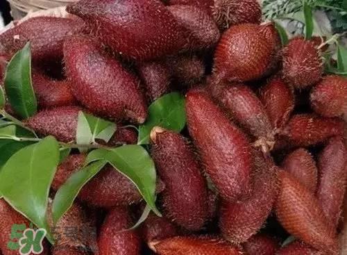 蛇皮果好吃吗?蛇皮果多少钱一斤? 蛇皮果好吃吗?蛇皮果多少钱一斤?