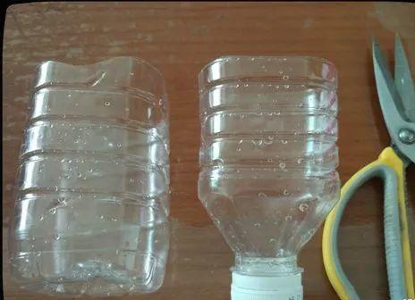 20种常见的扦插方法（扦插有啥难1根吸管）(34)