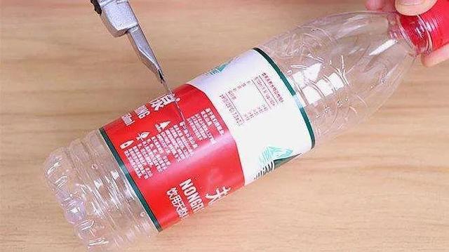 20种常见的扦插方法（扦插有啥难1根吸管）(3)