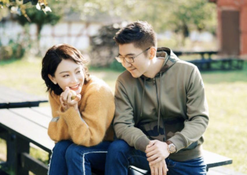 演员陈数的第一任老公是谁(陈数的感情史)