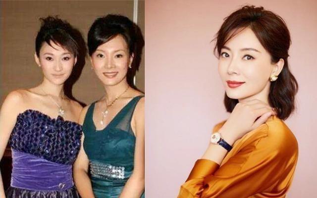 演员陈数的第一任老公是谁(陈数的感情史)