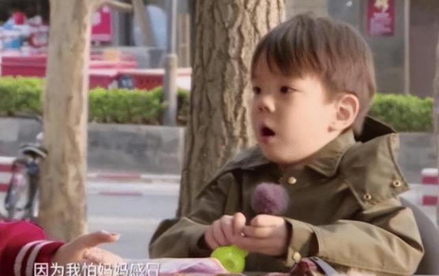 杜江霍思燕近期合影(京圈富婆霍思燕)(36)